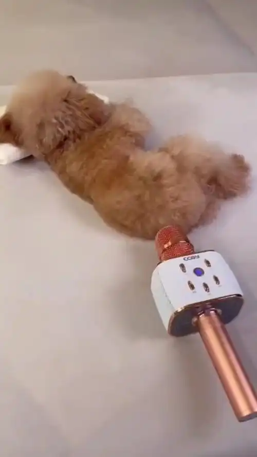  谁谁吓老子一跳