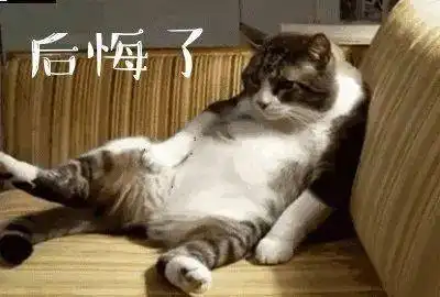 加菲猫表情包小视频沙漠