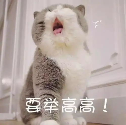  入选2018中国电视剧选集的23部剧