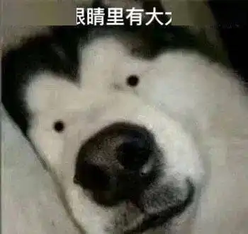  热点丨灵异又一灰色产业链曝光一名女留学生去世后,她还在不断交作业
