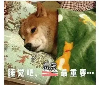  来自发际线的呐喊最可怕的不是脱发,而是......