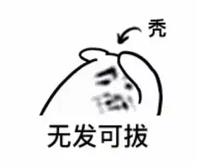  脱发的后裔你不能不知道的防脱神器