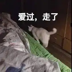  沙雕表情包需要服务吗先生