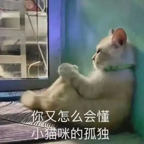  表情包叫我靓仔