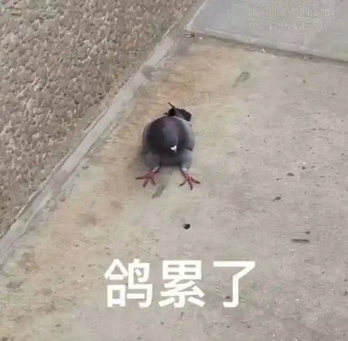  为什么有些人觉得被鸽很爽