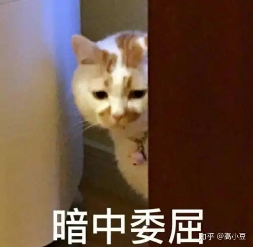  有哪些适合敏感肌使用的护肤品推荐