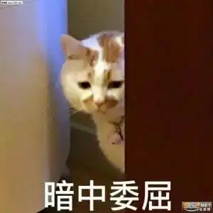  荆州三环看了这些礼物,我只想跟男朋友们说别tm再乱送了