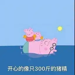 中国各地区国际学校烦恼图鉴 中国各地区国际学校烦恼图鉴