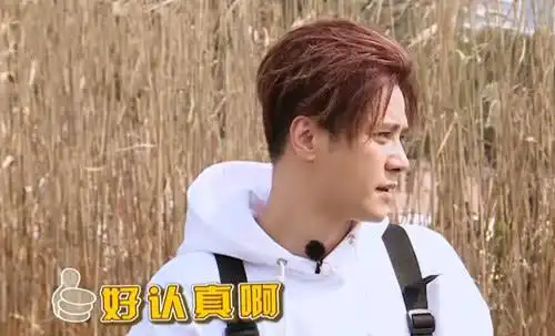  迪丽热巴干活有多卖力钻桥洞底下捡垃圾,网友罗志祥表情绝了