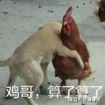  不管是谁,只要你喜欢表情包图片,我们就是好朋友