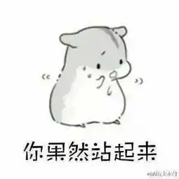  丶照片丶相册大全yy官方