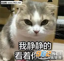  我不要面子的吗傲娇猫咪表情包人为什么要上班丧猫表情包下载乐游网游戏下载