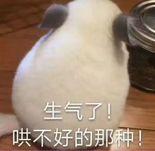 生气熊猫表情包动图隐瞒