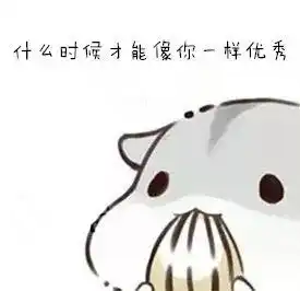  华软先生20年技术人生