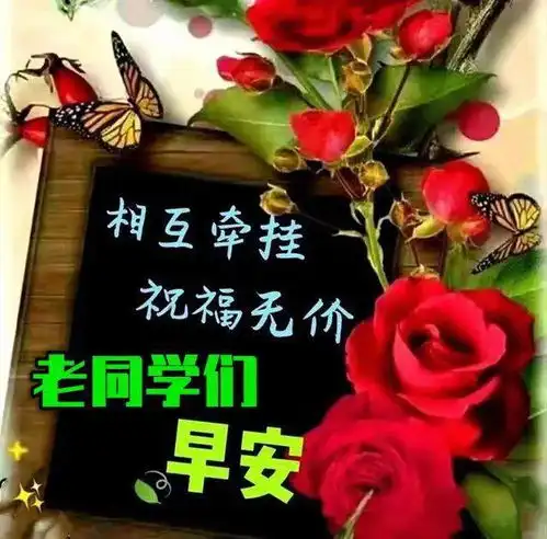  早上好表情包,问候老同学,相遇最美,感谢有你,祝开心快乐生活