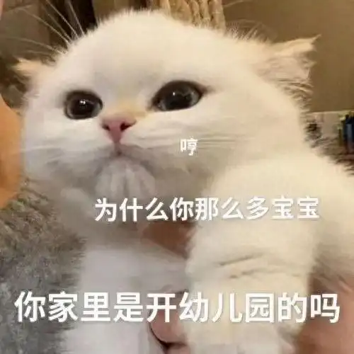  黑猫舔爪表情包微信怎么搜今日头条