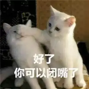  日常吸吸猫表情包