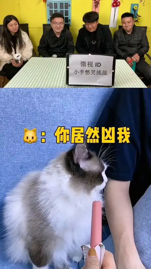  过气老姐不如狗,懵圈的小表情亮了,笑喷了