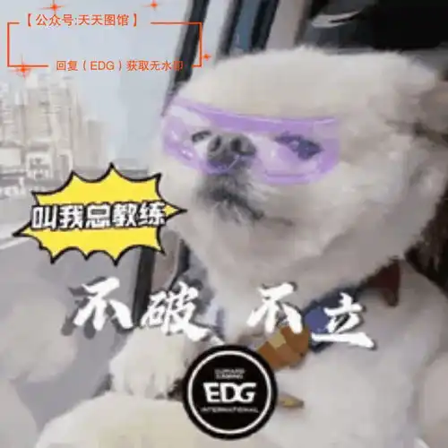  edg表情包edgvsdk表情包今晚给我赢我只说句edg牛逼热门表情s11比赛表情