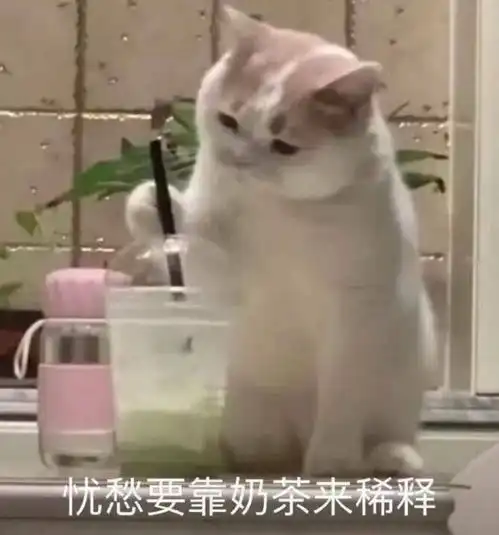 猫表情包什么都是他们的,我这个胖子连脖子都没有 猫表情包什么都是他们的,我这个胖子连脖子都没有