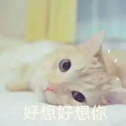  半夏