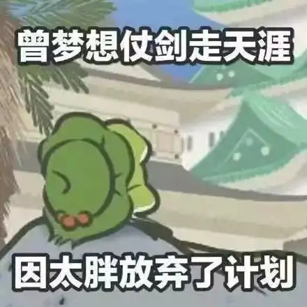  我养的老公不给我打电话,养的儿子三天不回家旅行青蛙最全攻略