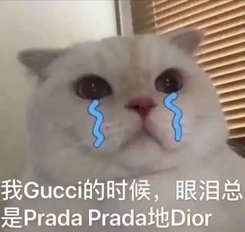  525我爱我大学生心理健康周