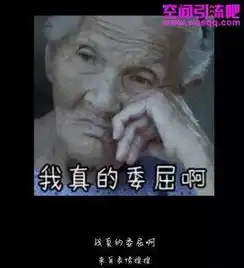  愤怒慰安妇纪录片二十二被截图制作表情包