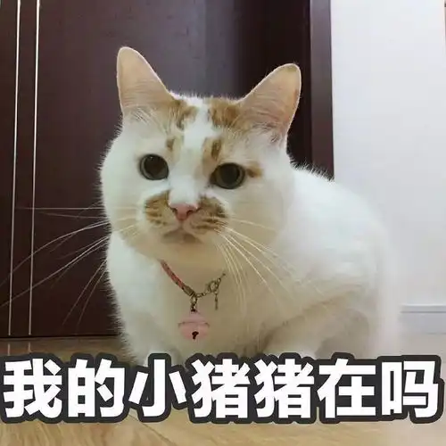  你最爱用的表情包,暴露了真实的你