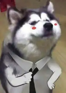  说说变脸姐妹团大哥的故事打拼上位,情史丰富,一ye情不断