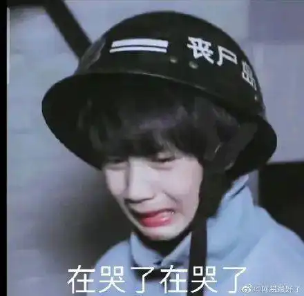 时代少年团沙雕表情包刘