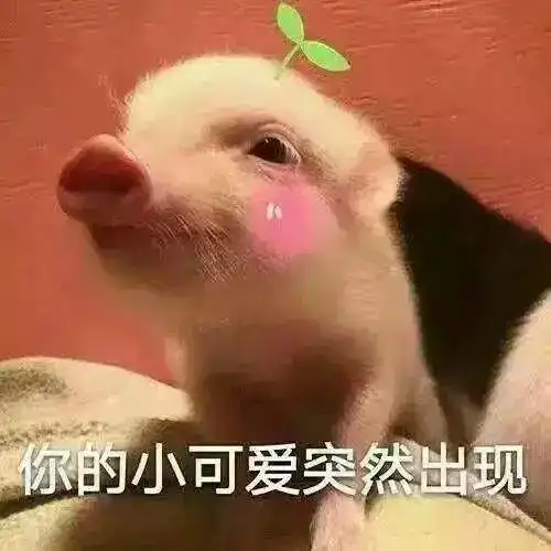  展会情报想和你一起去杭州上海吃肉肉