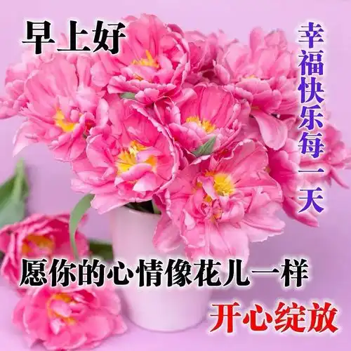  早晨好祝福语图片合集,最新早安问候语表情图片大全