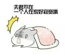  求小仓鼠表情包,最好是对男票专用的oo