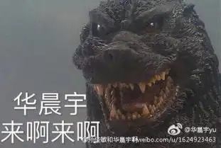  华晨宇表情包带字动图