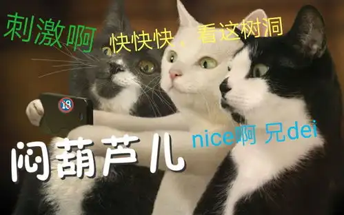  表情undertakertetsu的个人空间哔哩哔哩乾杯bilibili表情