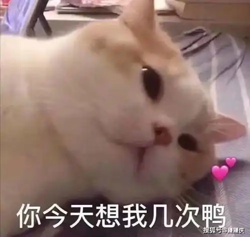  沙雕表情包图片给你倒水