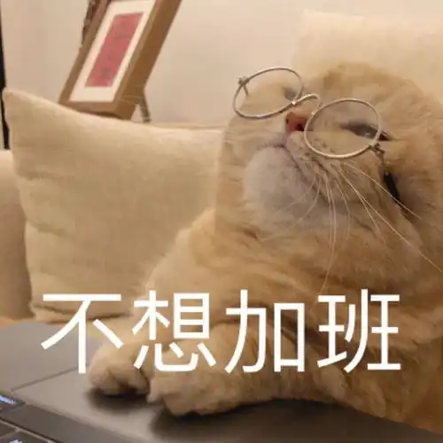  表情包打工人不想加班啊