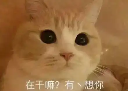  表情包在干嘛我有一点想你了