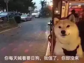  64个沙雕表情兄弟,一定要冷静