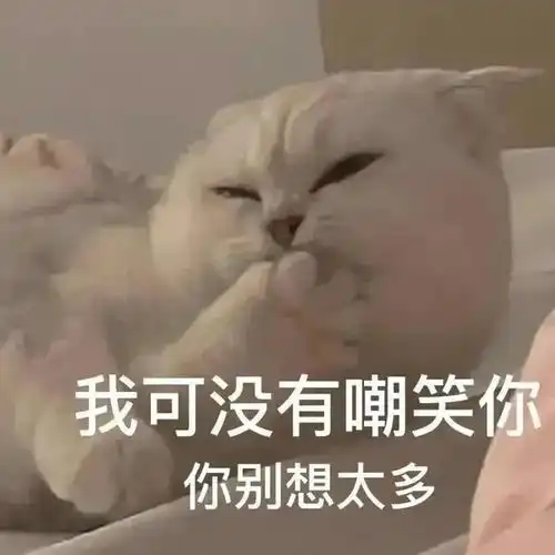  表情包分享