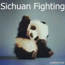  kpi越多管理智商越低吗