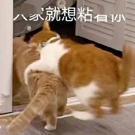  今日份沙雕搞笑表情包