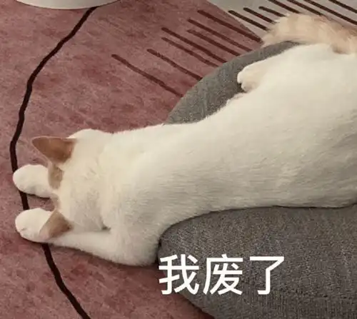  超级沙雕的猫子狗子表情包,爱了