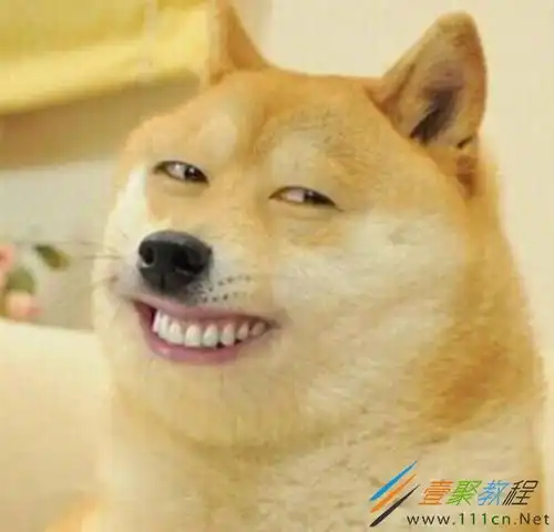  手动狗头是什么梗狗头出处是哪儿