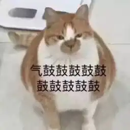  跟人撒娇专用表情包大全,收藏吧终有一天你用得着,哈哈