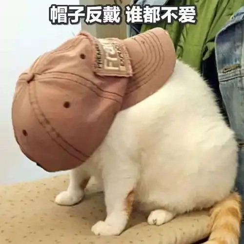  猫咪表情包如果我是一只咸鱼,那就让我快乐每一天