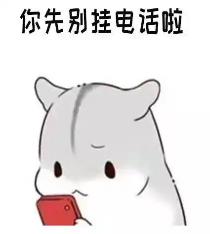 小仓鼠表情包图片大全打