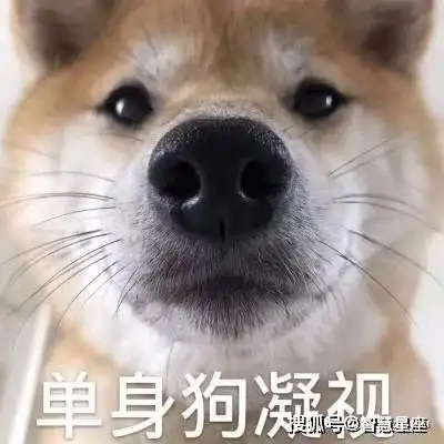  近两年很难脱单的星座top6
