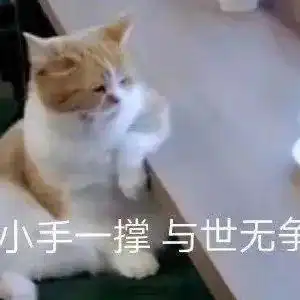 硕士生比本科生还多,我的学历又贬值了